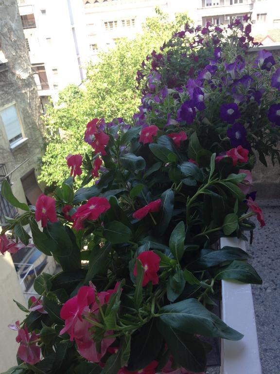 Apartment Bohemian Rhapsody Belgrad Oda fotoğraf